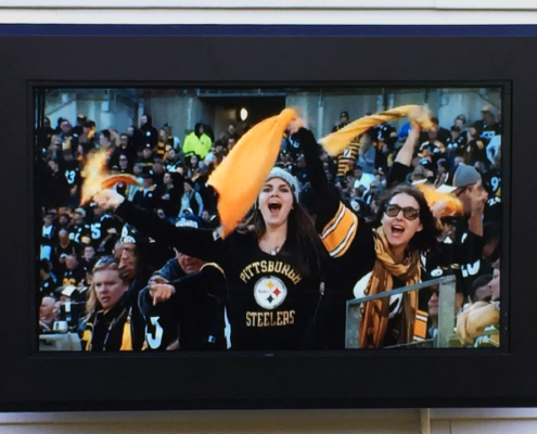 ViewStation Universal Backyard ITSENCLOSURES 2 ViewStation Universal Backyard ITSENCLOSURES